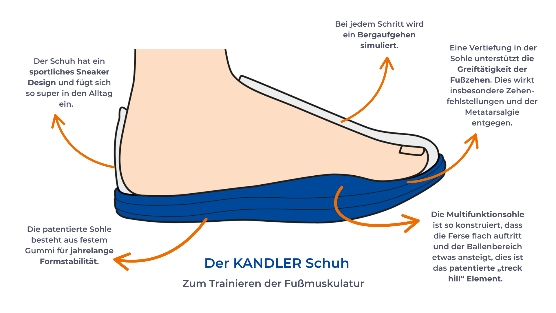 Schaubild Gesundheitsschuh